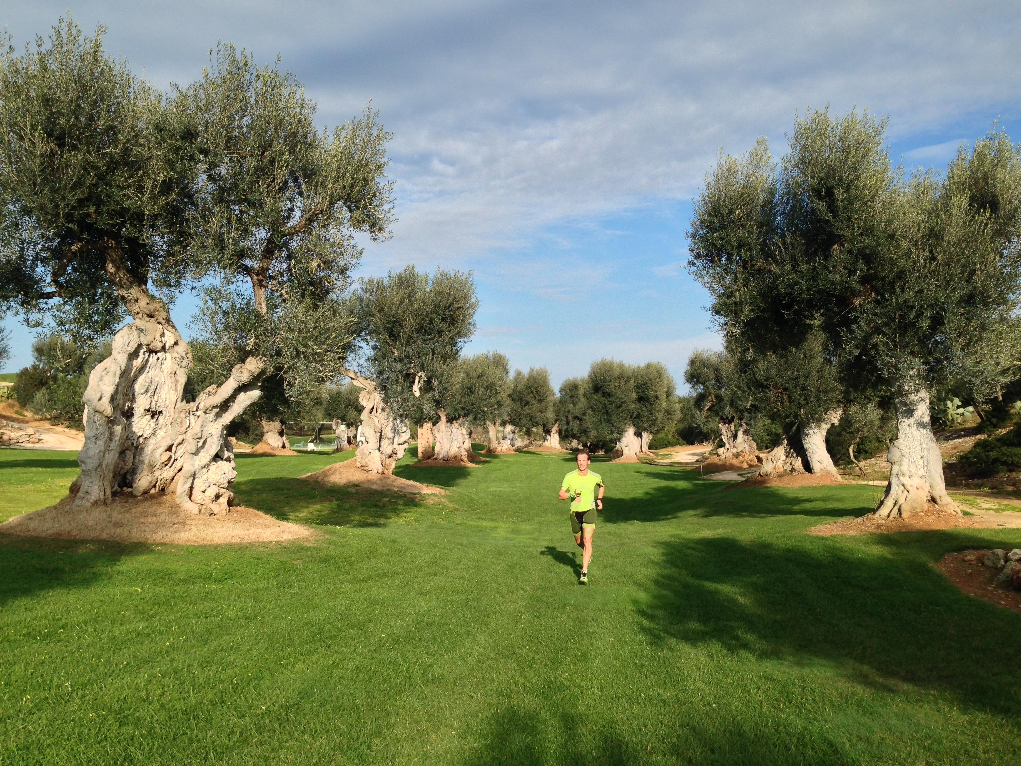 Rocco Forte Masseria Torre Maizza سافيلّيتري المظهر الخارجي الصورة