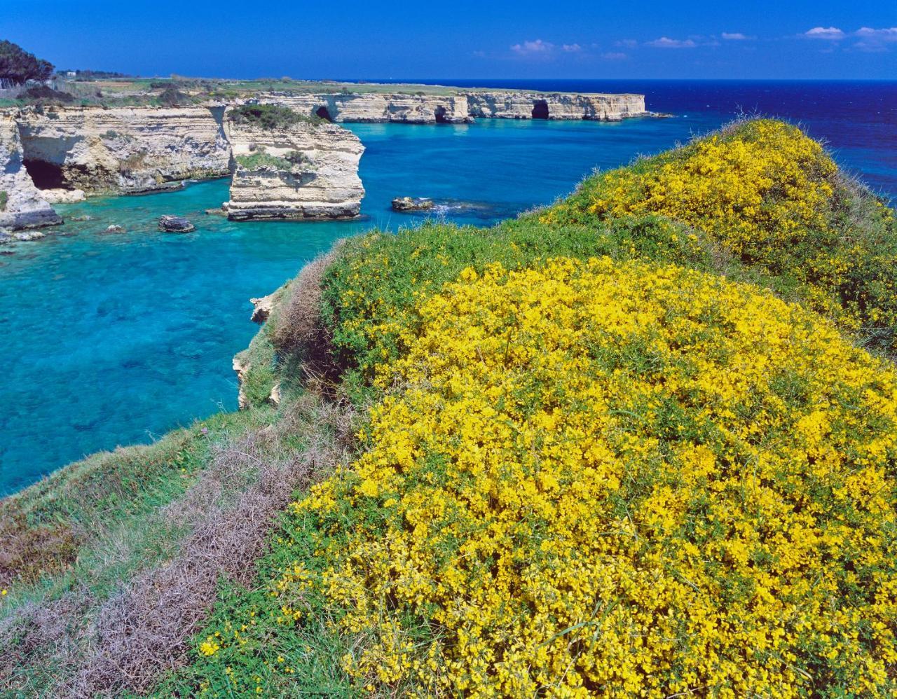 Rocco Forte Masseria Torre Maizza سافيلّيتري المظهر الخارجي الصورة